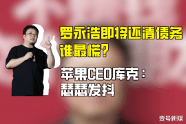 浦东浦东的要账公司在催收过程中的策略和技巧有哪些？